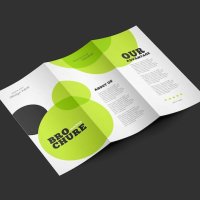 флаери - 66335 варианти | Crops флаери - 97294 варианти